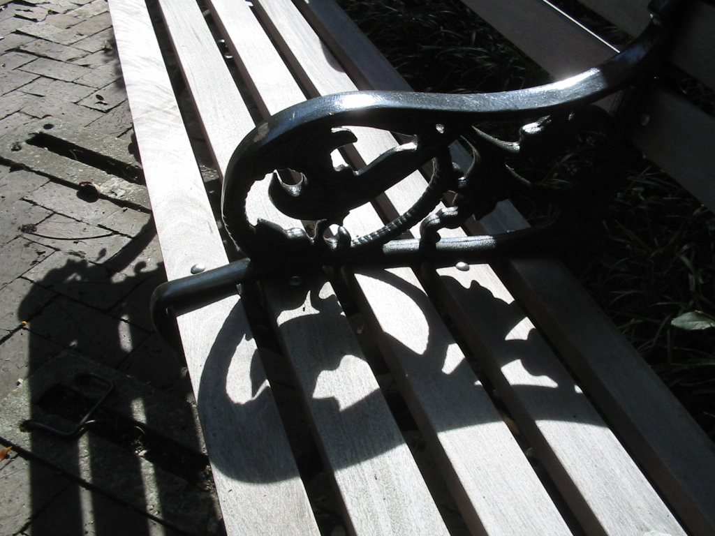 Charleston SC Park Bench